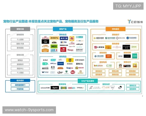 广东超级联赛球队表现与数据趋势深度分析报告